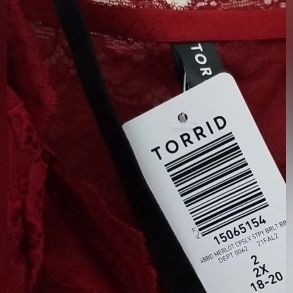 Torrid Strappy Lace & Mesh Babydoll Chemise - Picture 8 of 11